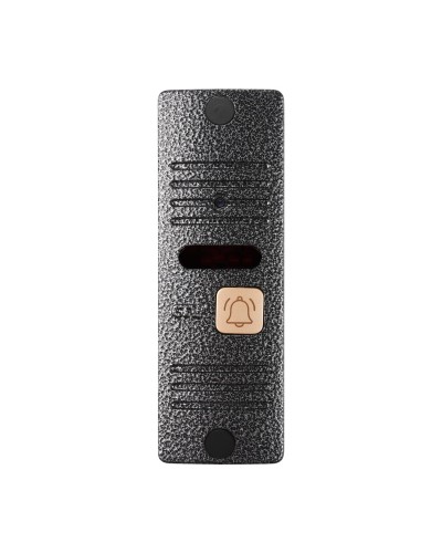 CTV-D10 Plus S (серебро). Вызывная панель цветная. CTV в Петрозаводске