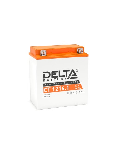 Delta CT 1216.1. Аккумулятор герметичный свинцово-кислотный стартерный. Delta в Петрозаводске