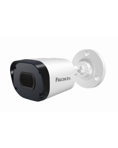 FE-IPC-BP2e-30p. Видеокамера IP цилиндрическая. Falcon EYE в Петрозаводске
