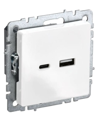 Розетка USB A+C 18Вт РЮ11-1-БрБ белый BRITE (BR-U22-018-K01). Розетка USB. IEK в Петрозаводске
