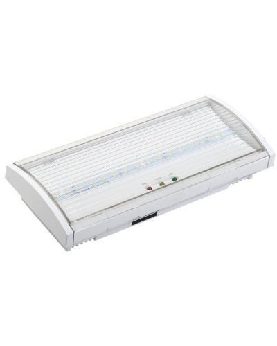Светильник аварийный ДПА 5040-1 1ч IP54 LIGHTING (LDPA0-5040-1H-K01). Светильник аварийный постоянного действия. IEK в Петрозаводске