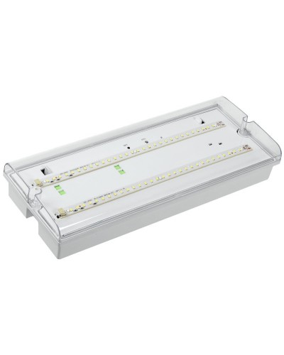 Светильник аварийный ДПА 5042-3 3ч IP65 LIGHTING (LDPA0-5042-3-65-K01). Светильник аварийный универсальный. IEK в Петрозаводске