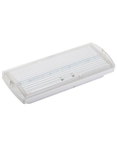 Светильник аварийный ДПА 5030-3 3ч IP20 LIGHTING (LDPA0-5030-3H-K01). Светильник аварийный постоянного действия. IEK в Петрозаводске