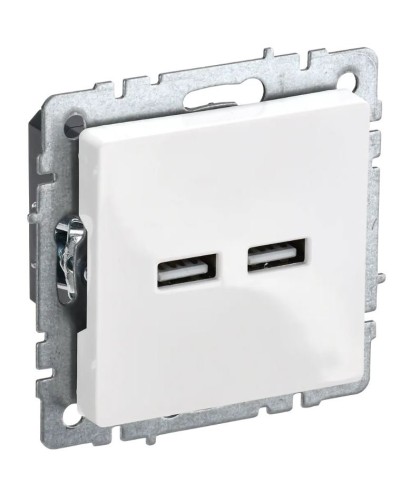 Розетка USB A+A 3,1А РЮ10-1-БрБ белый BRITE (BR-U21-D31-K01). Розетка USB. IEK в Петрозаводске