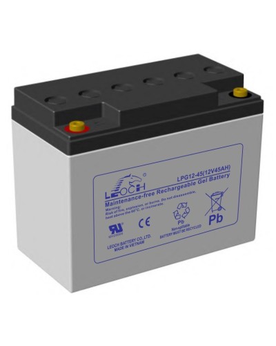 LEOCH LPG 12-45. Аккумулятор герметичный свинцово-кислотный. LEOCH в Петрозаводске