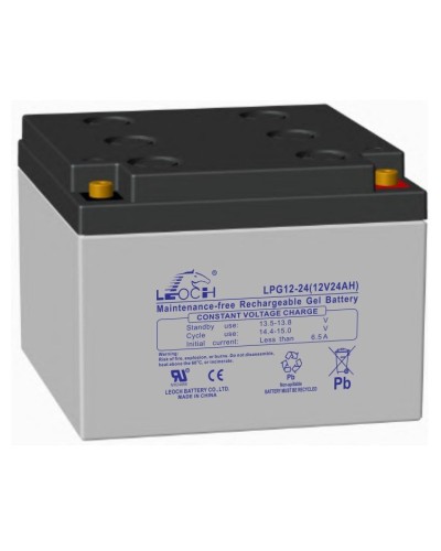 LEOCH LPG 12-24. Аккумулятор герметичный свинцово-кислотный. LEOCH в Петрозаводске