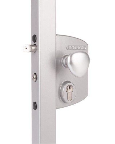 LIKQ4040 U2L (цвет: RAL 9005, черный). Замок электромеханический для калиток. Locinox в Петрозаводске