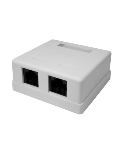 Розетка настенная RJ-45, 8P8C, Cat.5e, 2 порта UTP (10-0309): Компьютерная розетка в Петрозаводске