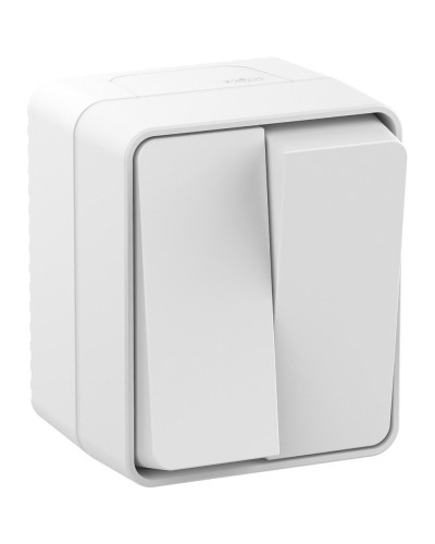 AtlasDesign PROFI54 выключатель 2-клавишный, открытой установки, белый (ATN540151). Выключатель. Systeme Electric в Петрозаводске