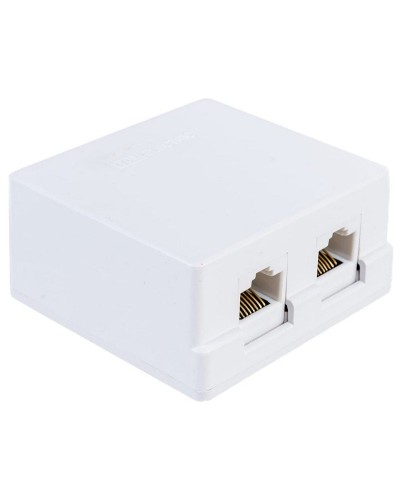 Компьютерная розетка 2xRJ-45 (SQ1809-0004): Компьютерная розетка в Петрозаводске