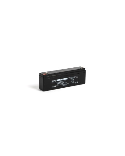 SKAT SB 12022 (2539). Аккумулятор герметичный свинцово-кислотный. Бастион в Петрозаводске