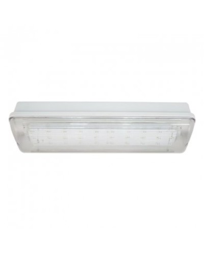 SL-223-30LED1.8 исп. 1, IP65. Светильник аварийного освещения. ИП Раченков А.В. в Петрозаводске