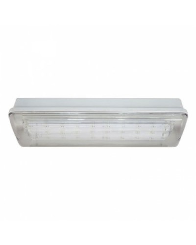 SL-213-30LED1.8 исп. 1 IP65. Светильник аварийного освещения. ИП Раченков А.В. в Петрозаводске