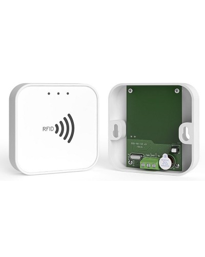 RFID-TM. Считыватель RFID. Ритм в Петрозаводске