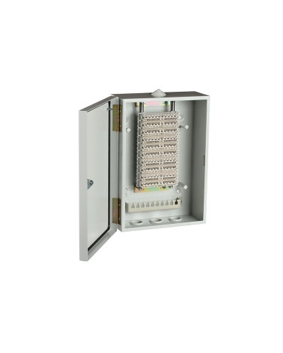 ШРН-В/100-Р (120908-00122). Шкаф ШРН-В/100-Р, плинт ПВТ-10Р-5е. ССД (Связьстройдеталь) в Петрозаводске