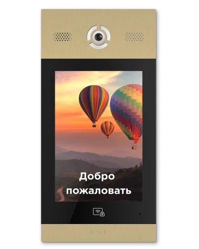 AA-14FB GOLD. Вызывная панель подъездного IP-домофона. BAS-IP в Петрозаводске