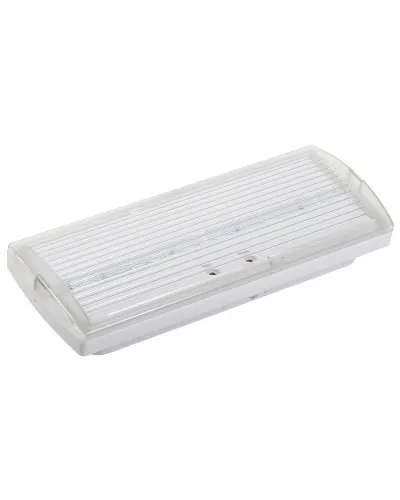 Светильник аварийный ДПА 5030-1 1ч IP20 LIGHTING (LDPA0-5030-1H-K01). Светильник аварийный постоянного действия. IEK в Петрозаводске