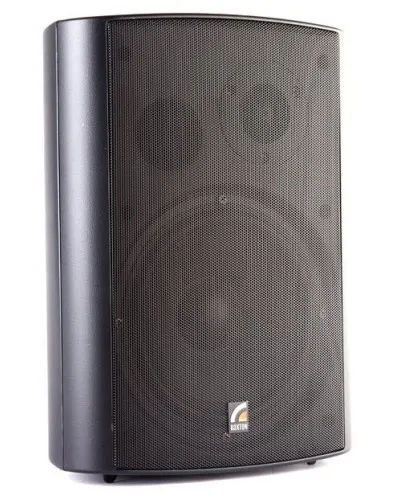 MS-40TB (ROXTON). Звуковая настенная колонка. ROXTON в Петрозаводске