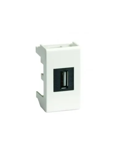 Розетка USB 2.0 Brava 1 модуль слоновая кость (75200S): Розетка USB в Петрозаводске